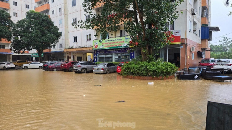 Nhiều tài sản bạc tỷ 'trồi lên' khi lũ rút ở Thái Nguyên - 11