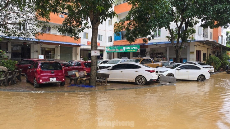 Do ngập nước lâu ngày, những chiếc xe này rất khó để xử lý, hoạt động trở lại. Ảnh: Hoàng Mạnh Thắng.