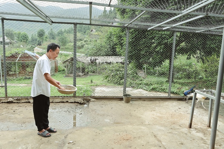 Việt Hoàn nuôi khoảng 20 con gà, vịt để lấy trứng phục vụ bữa ăn hàng ngày. Nam ca sĩ vừa cười vừa kể chuyện bạn thân của anh, ca sĩ Trọng Tấn, không biết làm gì với hai quả trứng vịt lộn bỗng nhiên nở thành con nên mang đến trang trại nhờ anh nuôi hộ. Đến nay, hai chú vịt này đều đã đẻ trứng. Vợ chồng Trọng Tấn thỉnh thoảng lên thăm.