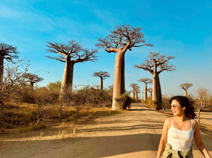 Vẻ đẹp kỳ diệu của cây lộn ngược ở Madagascar qua lăng kính của du khách Việt - 2