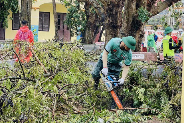 Hỗ trợ dọn dẹp các điểm trường ở quận Đồ Sơn (TP. Hải Phòng) dọn dẹp, cắt cây gãy đổ do bão số 3.