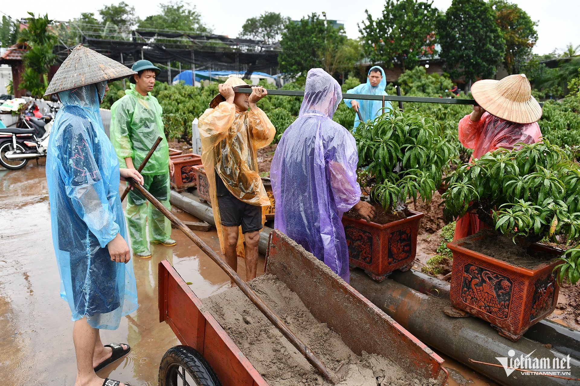 Lũ sông Hồng trên báo động 2, người dân ngoài đê hối hả chạy lụt - 7