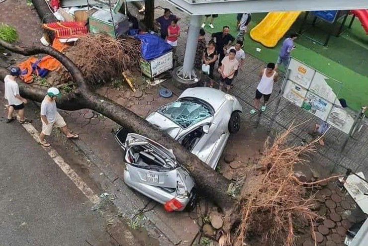 Cây đổ, cột điện đè lên xe ô tô do thiên tai gây ra bảo hiểm xử lý như thế nào? - 1