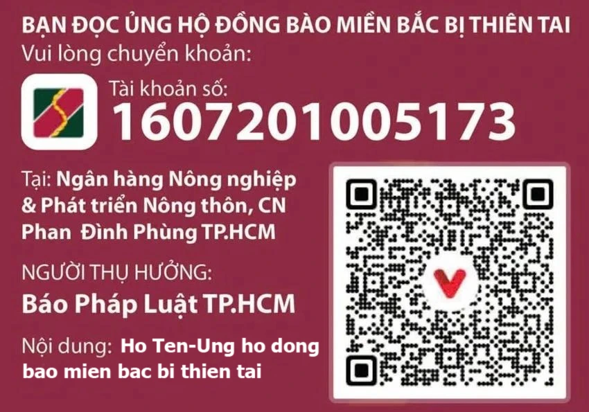 UBND TP.HCM đề nghị tạm hoãn các sự kiện, hướng đến đồng bào vùng lũ - 3