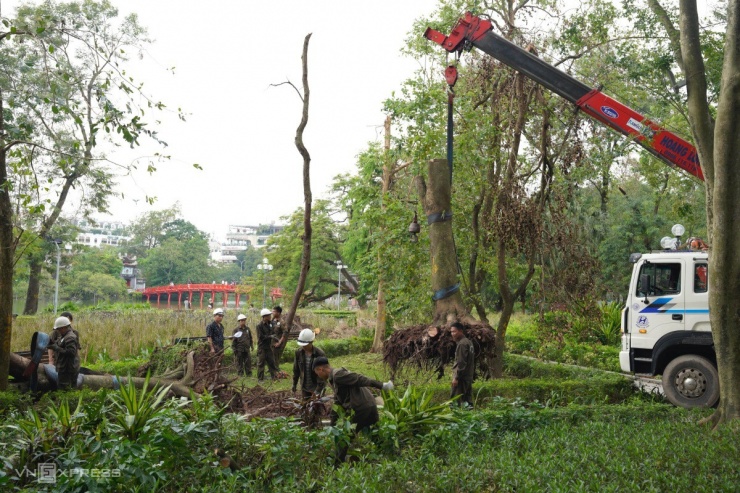 Trung tâm Hà Nội ngổn ngang cây đổ sau một tuần bão Yagi - 10