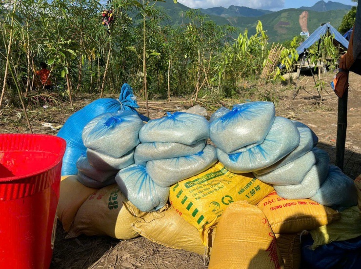 Trưởng thôn Kho Vàng dời 115 người dân lên núi: Tôi phải tự quyết vì mất liên lạc - 12