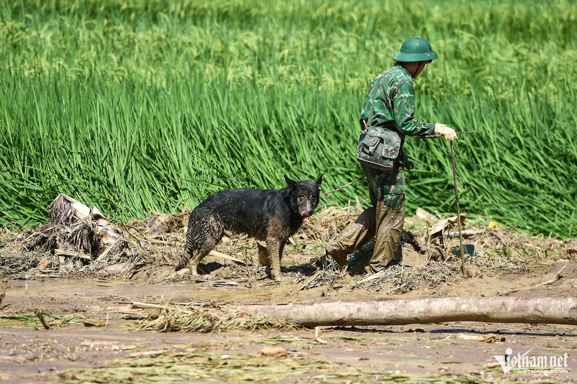 Những ngày chìm trong đau thương ở Làng Nủ - 3