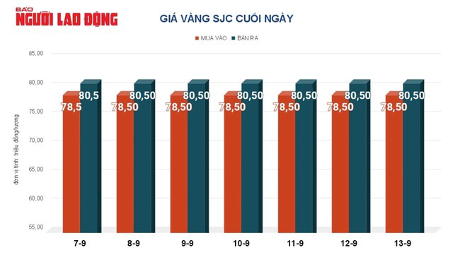 Giá vàng hôm nay 14-9: Tăng lên mức kỷ lục - 2