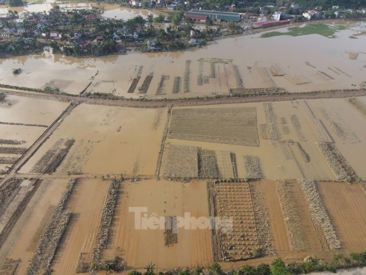 Với diện tích hơn 150ha chuyên canh rau, xã Tuy Lộc là vùng trồng rau lớn nhất Yên Bái, cung cấp nguồn rau xanh cho địa bàn thành phố Yên Bái và các địa phương lân cận.