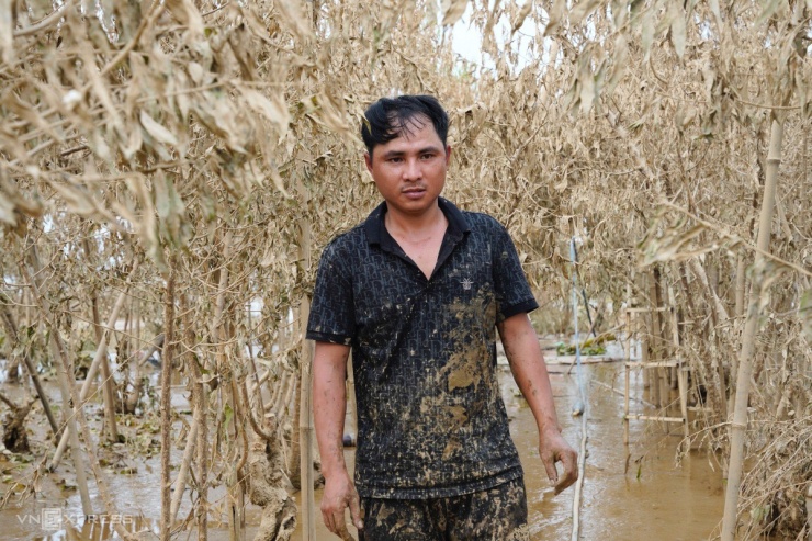 Làng đào Nhật Tân tan hoang sau lũ lịch sử - 6