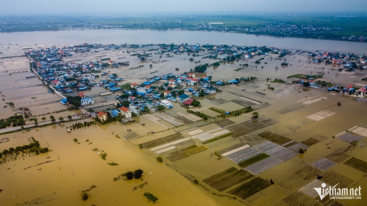 Nhiều khu dân cư, vùng chuyên canh hoa tại xã Mỹ Tân bị cô lập.