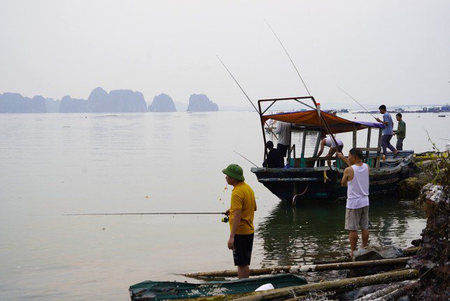 Ngày thường, giá cá song vào khoảng 250 nghìn đồng/1kg, nhưng các 'cần thủ' khi câu được cá chỉ bán lại cho ngư dân với giá trên dưới 100 nghìn đồng/1kg để hỗ trợ cho ngư dân tiếp tục nuôi lại để 'vớt vát' tí vốn sau thiệt hại do bão.