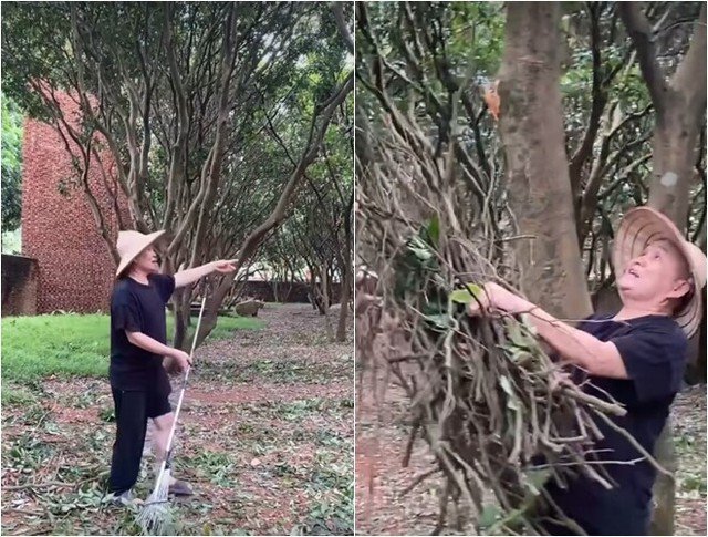 Video "Xuân Hinh dọn vườn" được bà đẩm thựcg tải trên kênh trực tuyến TikTok sau đó, thu hút hơn 4 triệu lượt ô tôm bởi cách giao tiếp, hành động duyên dáng. "Bác giao tiếp chuyện mà cháu vẫn nghĩ bác đang diễn hài", "Chú cứ phải quần ống thấp ống thấp thế chú", "Tết nào xưa xưa cũng ô tôm lại hài của bác rồi cười toe toét"... khán giả bình luận sôi nổi dưới video.