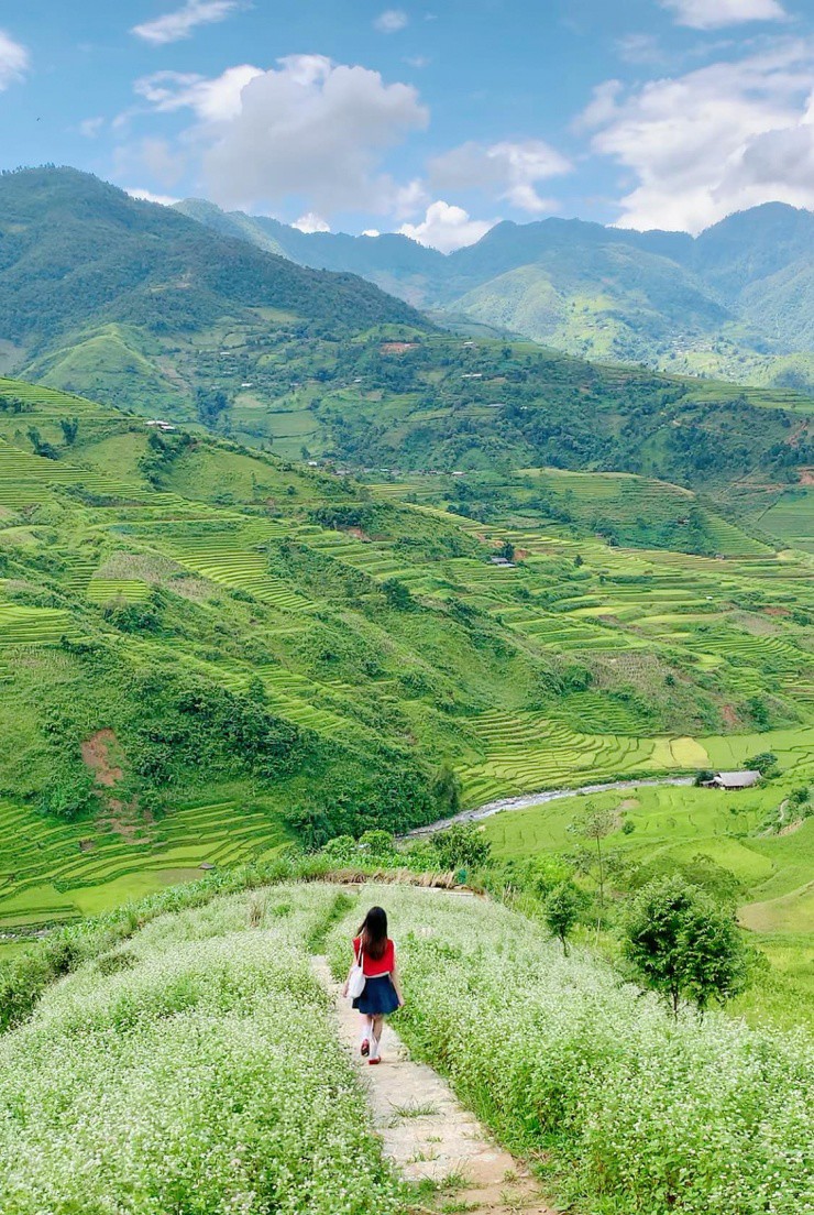 Lối đi lãng mạn ngay vườn hoa của một trong tứ đại đỉnh đèo Tây Bắc.