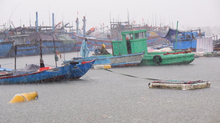 Do ảnh hưởng của áp thấp nhiệt đới mạnh lên thành bão (bão số 4) khu vực Đà Nẵng đang có mưa to, khu vực ven biển gió bắt đầu lớn từng hồi. Để bảo vệ tài sản, ngư dân Đà Nẵng dầm mình trong mưa, gió để neo đậu, đưa tàu thuyền vào nơi an toàn. Ảnh: Nguyễn Thành