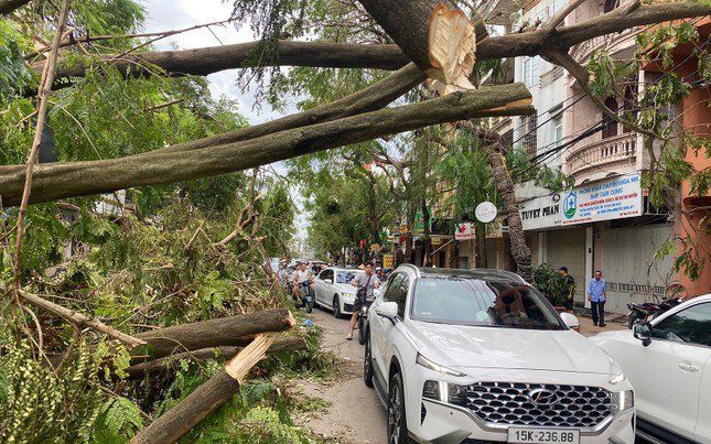 Hạ tầng đô thị, hệ thống cây xanh, hơn 500 trường học tại Hải Phòng bị hư hỏng, thiệt hại, ảnh hưởng do bão số 3 gây ra.