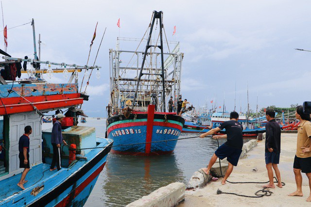 Ngư dân neo đậu tàu thuyền tại cảng cá Tịnh Hòa, TP Quảng Ngãi