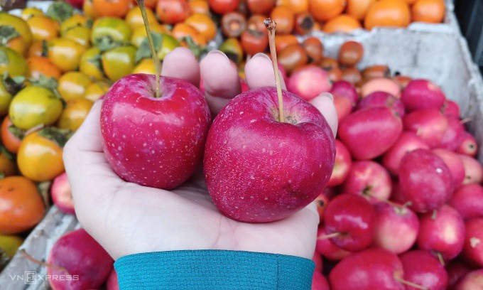 Táo cherry được bán tại cửa hàng hoa quả trên đường Phạm Văn Chiêu (Gò Vấp, TP HCM). Ảnh: Thi Hà