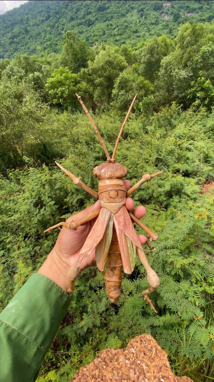 &#39;Chú Cuội&#39; Tây Ninh biến tre, trúc thành đồ trang trí đẹp, chân thực đến khó tin - 4