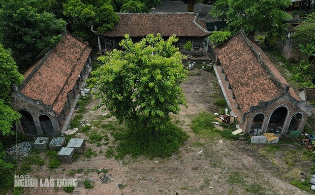 Tại đây có hơn 20 ngôi nhà với những nếp nhà xưa, mang vẻ đẹp hồn quê đồng bằng Bắc Bộ