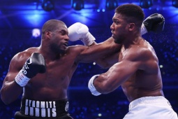 Đại chiến boxing hạng nặng Joshua - Dubois: Knock-out ngỡ ngàng sau 5 hiệp