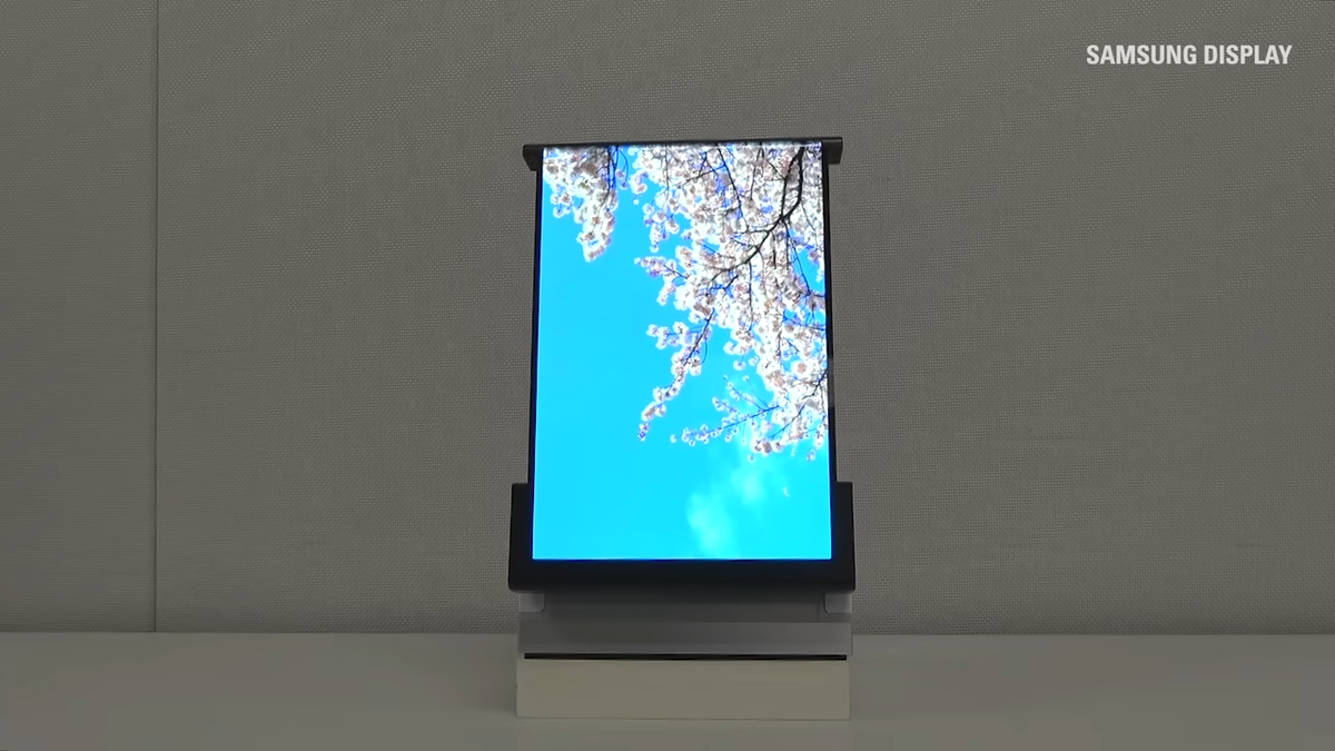 Samsung's rollable display concept.