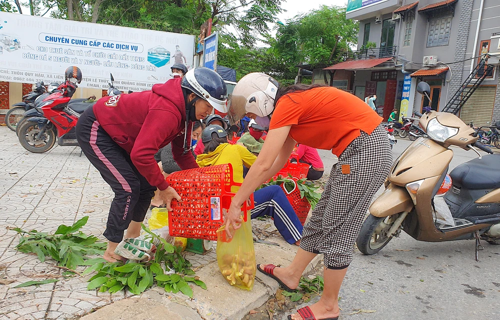 Nấm tràm thường xuất hiện nhiều vào các tháng 4, tháng 7 và tháng 8 âm lịch. Ảnh: B.THIÊN