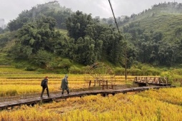 Lào Cai mở tour du lịch kết hợp thiện nguyện sau bão Yagi