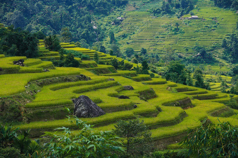 Mùa lúa &#39;vẹn nguyên&#39; sau bão, cảnh đẹp như tranh mời gọi khách trở lại Hà Giang - 1