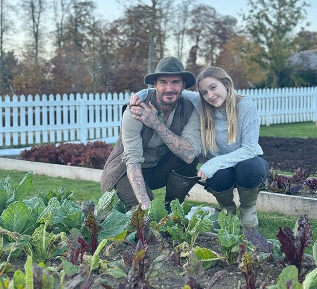 Becks và con gái út Harper bên vườn rau tự trồng ở nông trang. Ảnh: Instagram David Beckham