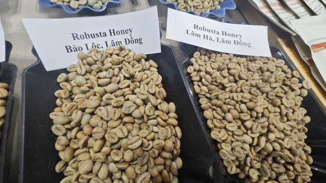 Cà phê Robusta trở lại đà tăng