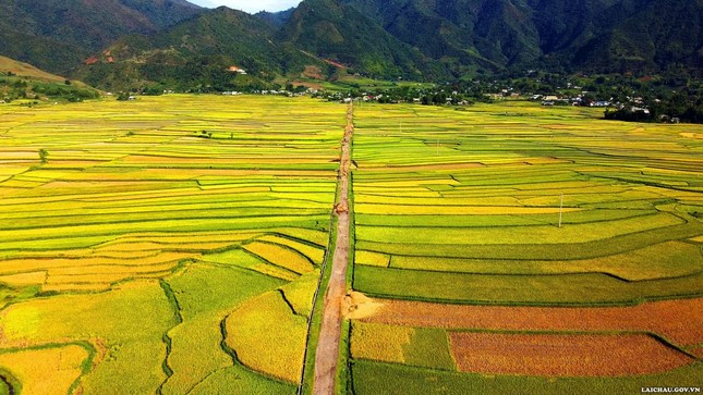 Thả hồn vào khung cảnh nên thơ của ruộng bậc thang tại Lai Châu