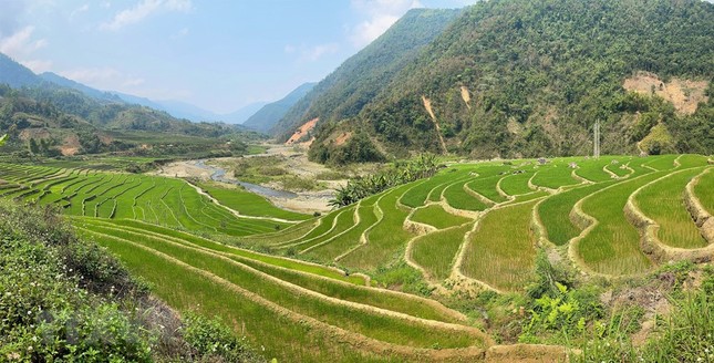 Mường Tè phủ một màu xanh mướt tạo nên một cảnh quan kỳ vĩ mà ít nơi nào có được