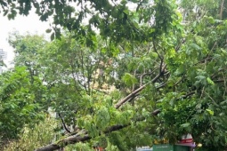 Hơn 9.000 tỷ đồng bảo hiểm bồi thường thiệt hại bão số 3 2 Lo ngại tăng trưởng GDP hai quý cuối năm chững lại do bão số 3