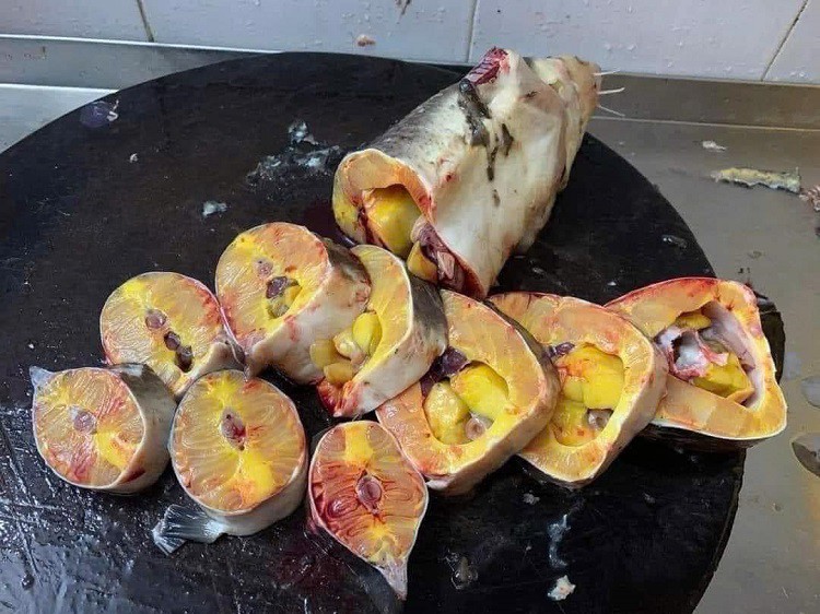 Nhiều người tranh thủ mua cá tầm với giá giải cứu để về chế biến. (Ảnh: Phương Tôm Hùm).