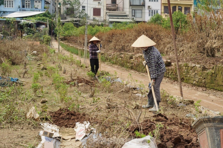 Dân làng Nhật Tân nỗ lực cải tạo đất.