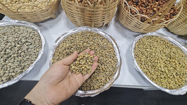 Giá cà phê Robusta có thể lập mốc 6.000 USD/tấn