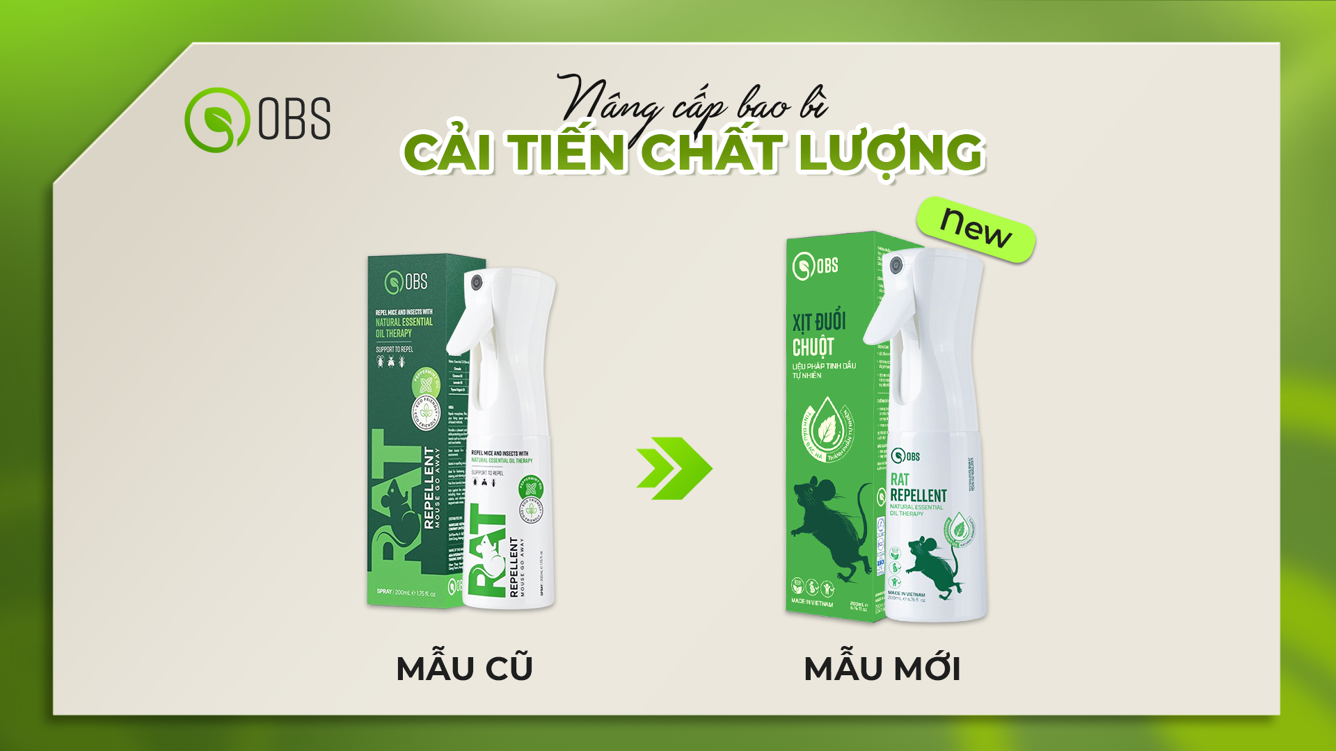 OBS Việt Nam tạo bước ngoặt ấn tượng khi cán mốc 10.000 đơn hàng mỗi tháng - 3