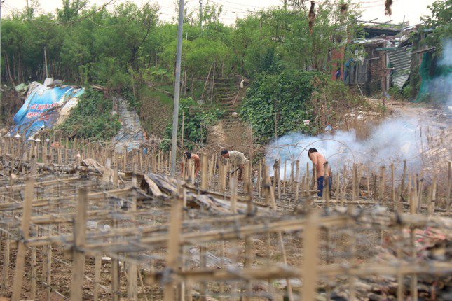 Cảnh tan hoang trên những đồng hoa Nhật Tân.