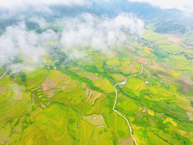 Lung linh mùa vàng trên rẻo cao Lai Châu