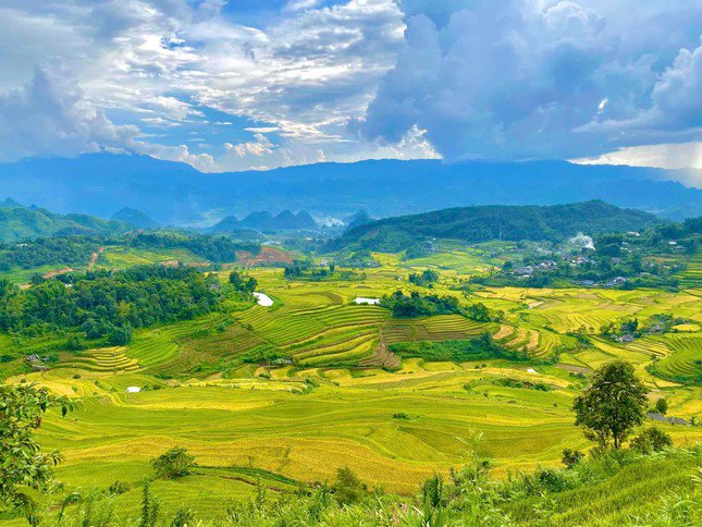 Lung linh mùa vàng trên rẻo cao Lai Châu