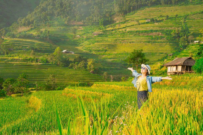 Lung linh mùa vàng trên rẻo cao Lai Châu