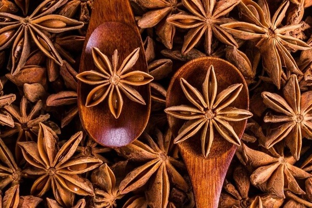 Loài hoa giúp Việt Nam thu lợi hàng nghìn tỷ