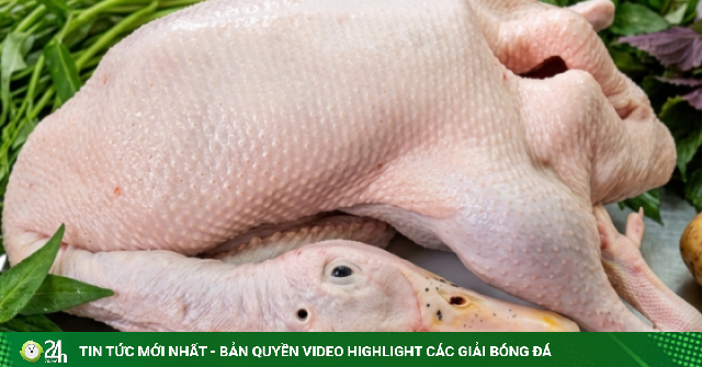 5 lý do để ăn thịt vịt ngay trong mùa hè này