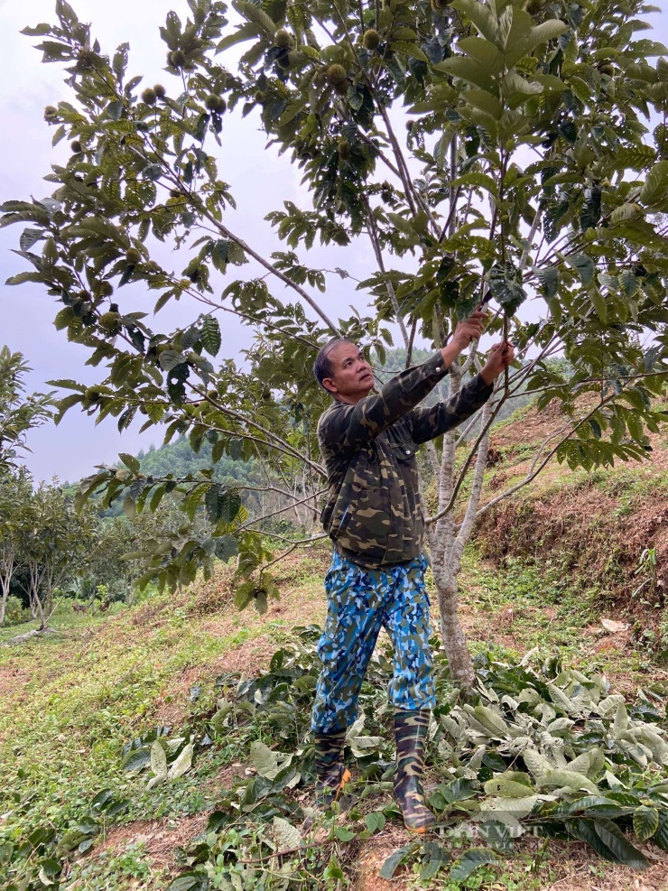 Hoàng Tính