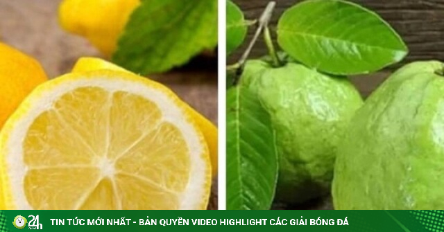 Ổi và chanh, loại quả nào chứa nhiều vitamin C hơn? Kết quả khiến nhiều người bất ngờ