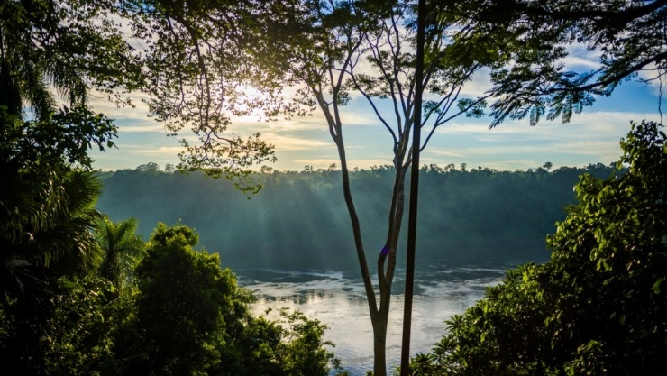 Sur del Alto Paraná (Paraguay): Nép mình trong rừng Đại Tây Dương Upper Paraná, khu dự trữ này bảo tồn một trong hệ sinh thái đa dạng và đang bị đe dọa nhất trên Trái Đất; cung cấp nơi trú ẩn quan trọng cho báo đốm Mỹ, lợn vòi và duy trì hành lang sinh thái kết nối Paraguay, Brazil, Argentina.