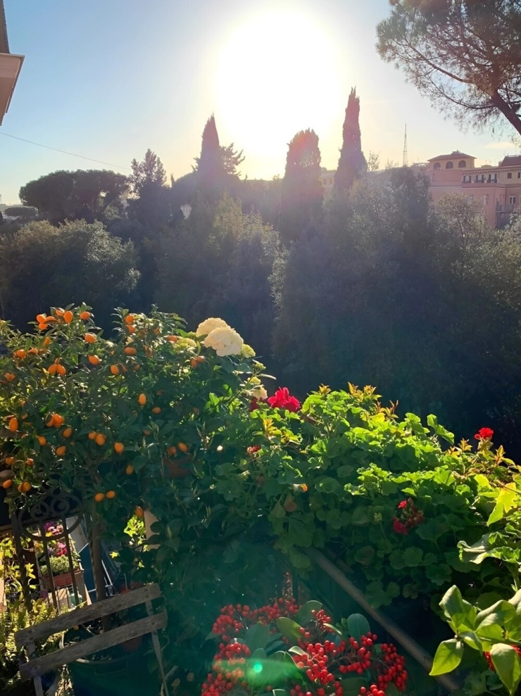 Villa 10.000 m2 ven biển Italy của 'Hoa hậu giàu nhất Việt Nam' có gì đặc biệt? - 19