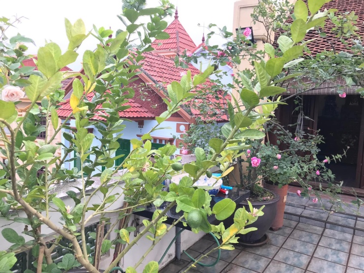 Mỹ nhân Hà thành trẻ nhất được phong NSND, hơn 30 năm hôn nhân chưa mặc váy cưới, hiện sống trong căn nhà thế nào? - 6