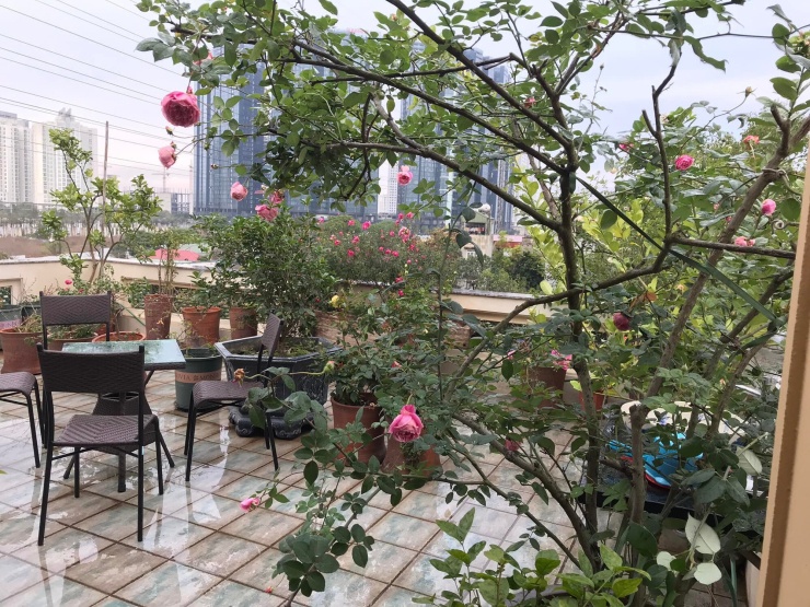 Mỹ nhân Hà thành trẻ nhất được phong NSND, hơn 30 năm hôn nhân chưa mặc váy cưới, hiện sống trong căn nhà thế nào? - 12
